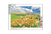 Hobbyartikler - CENTRUM Diamond Painting 30*40cm. Tulip field - 89757