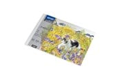 Hobbyartikler - SPREE Drawing pad 350g. 10 sheets. A5 210*150mm. - 41915