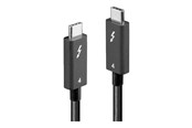 USB - Lindy - Thunderbolt cable - 24 pin USB-C to 24 pin USB-C - 2 m - 31121