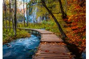 Puslespill - Ravensburger Autumnal wood trail (1000) - 12001764