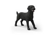 Schleich - Schleich Black Labrador Retriever female - 14923
