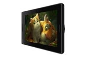 Tegnebrett/Digitizer - Huion Kamvas Pro 13 - GT133