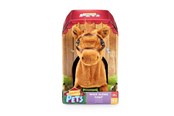 Plush - Happy Pets Walk Along Pony - 602575