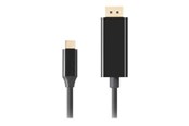 Skjermkabel - Lanberg - USB-C / DisplayPort adapter - USB-C to DisplayPort - 3 m - CA-CMDP-10CU-0030-BK