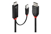 Skjermkabel - Lindy adapter cable - 1 m - 41498
