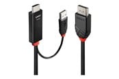 Skjermkabel - Lindy adapter cable - 3 m - 41500