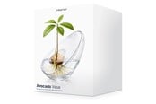 Dekorasjon - Mikamax Avocado Vase - 05198