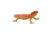 Figurer - Mojo Wildlife Bearded Dragon - 381096