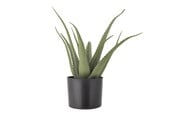 Dekorasjon - Bloomingville Aloe - 82061499