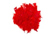 Arts & Crafts - Tilbehør - Colorations - Red Feathers 25 grams - CHREDF25
