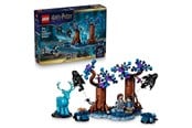LEGO® - LEGO Harry Potter 76475 Den forbudte skogen: Skytsverge - 76475