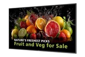 Digital skilting & Hotell TV - Philips 55BDL5050D 5000 Series - 55" Class (54.6" viewable) LED-backlit LCD display - 4K - for digital signage - 55BDL5050D/00