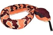 Plush - Wild Republic Plush Toy Snakes 137 cm Eastern Cottonmouth - 23529