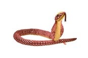 Plush - Wild Republic Plush Toy Snakes 137 cm Foil Cobra - 27368