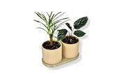 Dekorasjon - Simiu TWINDA - Double Planter in beige and light olive - 8.5cm - 5714255012392