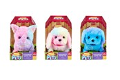 Basseng - Happy Pets Colourful Cutie Pal 3 asst. - 602515