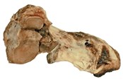 Hund - Dogman Okse knokkelbein - 480688