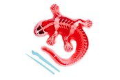 Utendørsleker - Simba Scout Dissect-It Salamander - 109452704