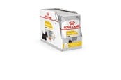 Hund - Royal Canin Dermacomfort - Wet dog food - 12 x 85 g - 9003579008812