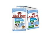Hund - Royal Canin SHN Mini Puppy in sauce - wet puppy food - 12X85g - 9003579008201