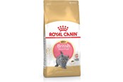Katt - Royal Canin British Shorthair Kitten cats dry food - 3182550816533