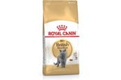 Katt - Royal Canin British Shorthair - dry cat food - 2 kg - 3182550756419