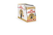 Katt - Royal Canin British Shorthair packet 12x85g - 9003579001240