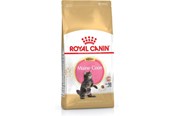 Katt - Royal Canin Maine Coon Kitten cats dry food - 3182550770941