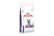 Katt - Royal Canin Dental - dry cat food - 1,5kg - 3182550722308