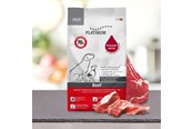 Hund - Platinum 4260208740658 dogs dry food - 4260208740658