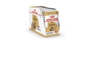 Hund - Royal Canin Shih Tzu Adult Wet dog food Pâté 12x85 g - 9003579013694
