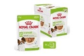 Hund - Royal Canin Adult xs-small - wet dog food - 12 x 85g - 9003579028957