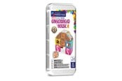 Byggesett - Magna-Tiles Travel Gingerbread House - 90492