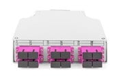Tilbehør - DIGITUS fibre-optic distribution box - OM4 assembled with SC adapter and pigtail - DN-963850-4