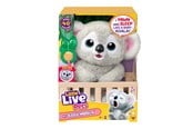 Lekesett - Little Live Pets MY BABY KOALA - 26840