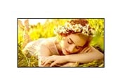 Digital skilting & Hotell TV - LG 43UL5Q-E Signage Display - 43UL5Q-E