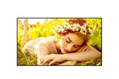 Digital skilting & Hotell TV - LG 50UL5Q-E Signage Display - 50UL5Q-E