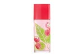 Parfyme & Dufter - Elizabeth Arden Green Tea Lychee Lime Eau de Toilette 100 ml - 0085805248734