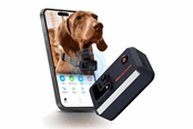 Hund - Enabot | ROLA PetTracker-GPS Tracker for Pets  | Dark blue - WH287307B