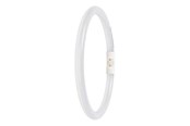 LED-lyspære - Osram LED-lyspære T5 Performance FC external 22mm 1550lm 11.6W/830 2GX13 - 4099854300806