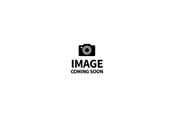 Figurer - FurReal Gabby The Grow & Roar Tiger - 28204