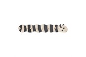 Babyutstyr - OYOY MINI Larva knaggrekke - M107576