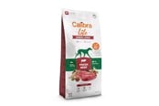 Hund - Calibra Life Senior Large Fresh Beef - dry dog food - 12kg - 8595706701273