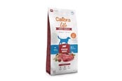 Hund - Calibra Dog Life Adult Medium Fresh Beef - dry dog food - 12kg - 8595706701211