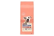 Hund - PURINA NESTLE DOG CHOW Sensitive Adult 14 kg Salmon - 7613034488244
