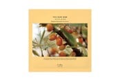Ansiktspleie - Dr. Althea Vita Glow Mask 27g - 8809447255095