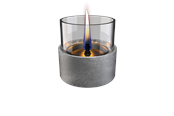 Dekorasjon - Tenderflame Aster Lava Grey - TF-0440011