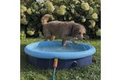 Hund - Nobby 2 i 1 Splash-Pool Ø 160 cm - L62299