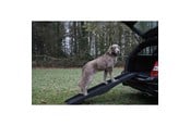 Hund - Nobby Hunderampe 152 x 40 cm - L76325