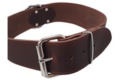 Hund - Nobby Halsbånd TABIL ekstra bred 75 cm (59-69 cm) 50 mm - L80935-03